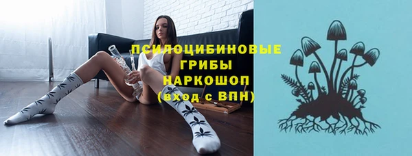 2c-b Касимов
